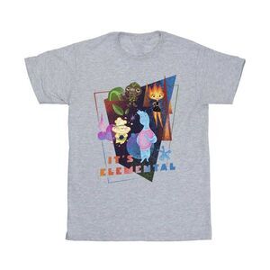 Elemental Boys It�'s Elemental T-Shirt / Sport Grey